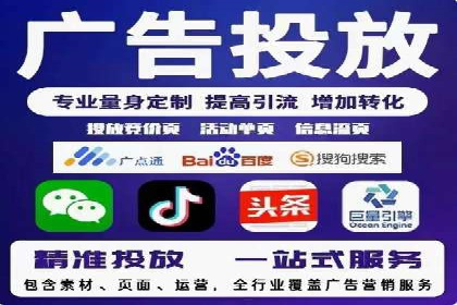 某电商平台信息流广告的精准推广策略